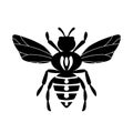 Cartoon cute bee mascot. Bee flies. Small wasp. Outline black logo element. Vector insect icon. Template design for