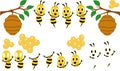 Cartoon cute bee mascot series.Beautiful cute bee. Cartoon cute bee pointing. vector illustration isolated 2019