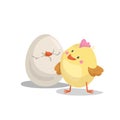 Cartoon cute boy chick looking on hatching egg. Easter and newborn symbol. Vector illustration. Royalty Free Stock Photo