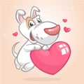 Cartoon cute bull-terier puppy holding a heart love. Vector illustration for St Valentines Day. Isolated. Royalty Free Stock Photo