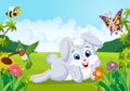 Cartoon cute bunny in the jungle Royalty Free Stock Photo