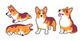 Cartoon cute corgi dogs isolated on white background