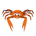 Cartoon cute crab. Marine broadly built decapod crustacean mascot