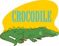 Cartoon cute crocodile. Vector illustration of funny happy alligator. stock illustration