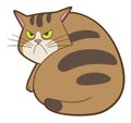 Cartoon cute displeased cat