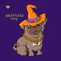 Cartoon cute dog character in a witch s hat with a skull capkake and a Halloween.