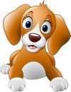 Cartoon cute dog