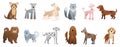 Cartoon cute dogs set Royalty Free Stock Photo