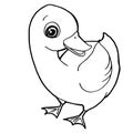 Cartoon cute duck coloring page vector Royalty Free Stock Photo