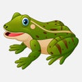 Cartoon cute frog Royalty Free Stock Photo