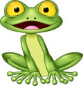 Cartoon cute frog