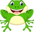 Cartoon cute frog Royalty Free Stock Photo