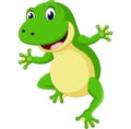 Cartoon cute frog Royalty Free Stock Photo