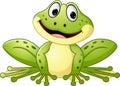 Cartoon cute frog Royalty Free Stock Photo