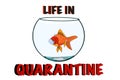 Cartoon , cute , funny , Japanese fish, goldfish in aquarium and taking face masking in quarantine ,poster,card.Speech bubble.
