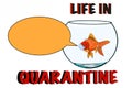 Cartoon , cute , funny , Japanese fish, goldfish in aquarium and taking face masking in quarantine ,poster,card.Speech bubble.