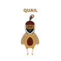 Cartoon a cute and funny quail.