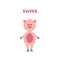 Cartoon a cute and funny swine.