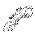 Cartoon cute gecko coloring page vector