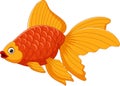 Cartoon cute goldfish on a white background