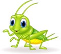 Cartoon cute green cricket isolated on white background Royalty Free Stock Photo