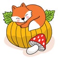 Cartoon cute hand draw fox sleep on big pumpkin , Autumn vector.