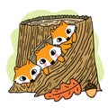 Cartoon cute hand draw three foxes in log, Autumn vector.