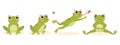 Cartoon cute hunting frog, amphibian carnivore catch insects. Green water animal food chain, hungry frog flat vector illustration