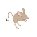 Cartoon cute jerboa