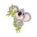 Koala cartoon sitting on a bamboo branch. Vector illustration on white background.