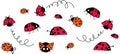 Cartoon cute Ladybugs vector illustration. Cartoon ladybirds flying, Summer insect digitall illustration. Doodle bugs