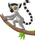 Cartoon cute lemur on tree branch Royalty Free Stock Photo