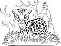 Cute little cheetah, funny illustration, coloring book