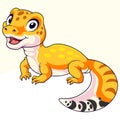Cartoon cute little gecko on white background Royalty Free Stock Photo