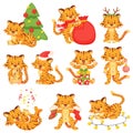 Cartoon cute little tigers, happy tiger cubs. Baby animal characters with xmas tree or gift box celebrating christmas