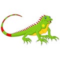 Cartoon cute lizard