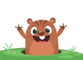 Cartoon cute marmot groundhog looking out of a hole. Happy groundhog day. Vector illustration. Royalty Free Stock Photo