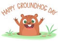 Cartoon cute marmot groundhog looking out of a hole. Happy groundhog day. Vector illustration Royalty Free Stock Photo