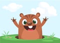 Cartoon cute marmot looking out of a hole. Happy groundhog day. Vector illustration. Royalty Free Stock Photo