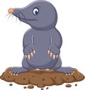 Cartoon cute mole Royalty Free Stock Photo