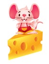 Cartoon cute mouse shows thumb up hand and standing on big Swiss cheese