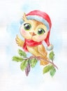 Cartoon cute owl. Funny watercolor illustration. Symbol of new y
