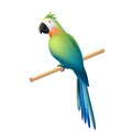 Cartoon cute parrot sitting on a bar, 3d vector illustration, colourful bird