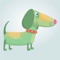 Cartoon Cute Purebred Dachshund Dog mascot. Vector Illustration isolated on white background. Royalty Free Stock Photo
