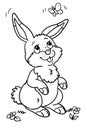 Cartoon cute rabbit coloring page