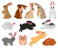 Cartoon cute rabbits, spring bunny brown and white characters. Bunny sitting, sleeping and jumping vector illustration