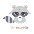 Cartoon cute raccoon