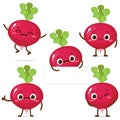 Cartoon cute radish character set vector