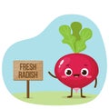 Cartoon cute radish character vector with banner