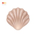 Cartoon Cute Seashell. Funny Sea Animal. Colorful tropical shell underwater icon. Shellfish summer symbol concept. Vector
